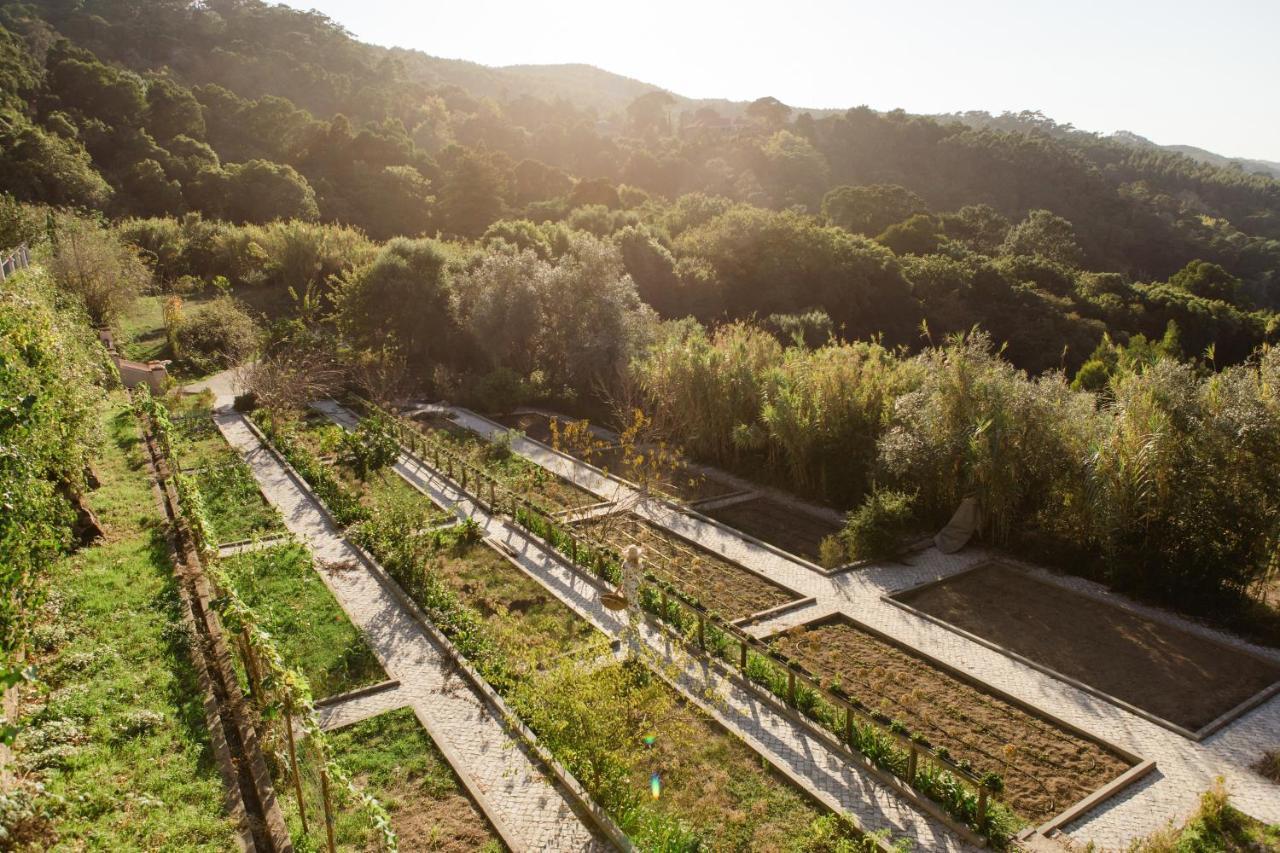 סינטרה Quinta Da Bella Vista - Historic Home And Farm מראה חיצוני תמונה