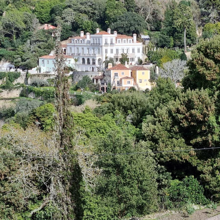 סינטרה Quinta Da Bella Vista - Historic Home And Farm מראה חיצוני תמונה